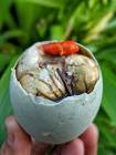 Balut Egg Surprise