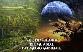 2 de 11 | cambia la forma en la … Frases De Reflexion Por El Dia Mundial Del Medio Ambiente