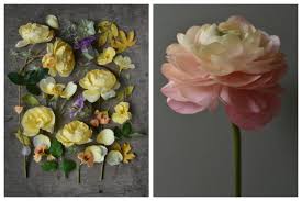 Check spelling or type a new query. The Farmer The Florist Interview Becky Crowley Floret Flowers