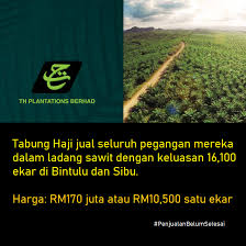 Hektare (ha) merupakan satuan ukuran luas yang dipakai untuk menunjukkan luas area, misalnya pengukuran tanah. 76 2 Dari Keseluruhan Ladang Sawit Milik Tabung Haji Sudah Sedang Dijual Oleh Ph Mykmu Net