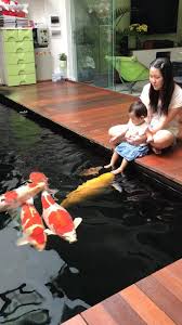 Kolam Ikan Kolam Ikan Kolam Halaman Belakang Ide Halaman Belakang