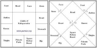 south and north indian chart styles and house bhava