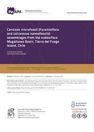 Asin pe inul / pemainbandarq situs poker terpercaya dan terbaru. Pdf Cenozoic Microfossil Foraminifera And Calcareous Nannofossils Assemblages From The Subsurface Magallanes Basin Tierra Del Fuego Island Chile