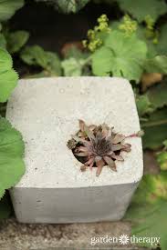 Dalilah arja september 23, 2015. How To Make Concrete Planters