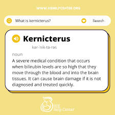 Image result for Kernicterus