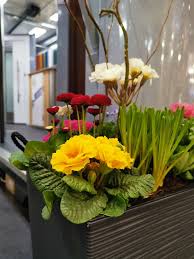 Willkommen bei freizeit, haus und garten auf unserer plattform finden sie alles zu den aktuellen trends rund um freizeit, haus und garten. Die Gottschlich Gmbh Auf Der Haus Garten Freizeit In Leipzig Gottschlich Gmbh