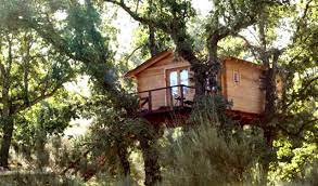 Guía de casas rurales en españa: Las Mejores Cabanas En Los Arboles Para Dormir En Espana La Espiga Digital