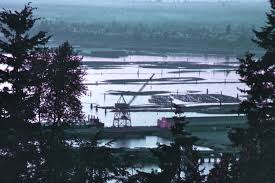 The july high is around 72 degrees winter low: Bellingham Waterfront Wikipedia