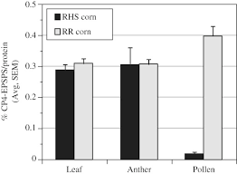 We did not find results for: Improving Hybrid Seed Production In Corn With Glyphosate Mediated Male Sterility Feng 2014 Pest Management Science Wiley Online Library