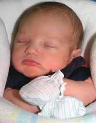 Seminole Friends Prepare to Go Overseas Tampa Dedicates Seminole Wars  Memorial