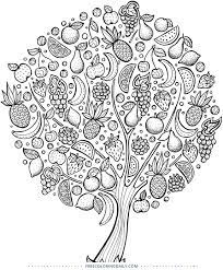 Although it resembles the lime, calamansi is the result of a cross between the mandarin and the kumquat. Free Fruit Tree Coloring Page Free Coloring Daily