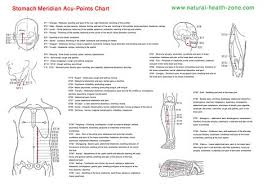 stomach meridian pdf free download acupuncture