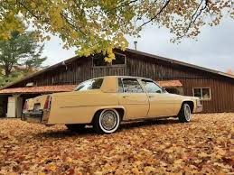 Image result for Dandelion Yellow 1977 Holden Fleet