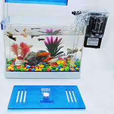 88 likes · 3 talking about this. Harga Aquarium Ikan Hias Lengkap Dan Promo Terbaru Januari 2021 Biggo Situs Perbandingan Harga