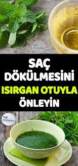 Sac Icin Isirgan Otu Kuru Homemade Skin Care Health Skin Care