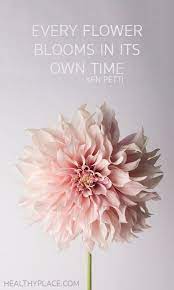 26 Flower Quotes Flower Quotes Inspirational Flower Quotes Life Flower Quotes