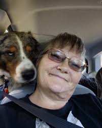 Missing Animals in Prairie Grove