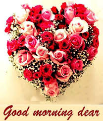 Good morning my dear friend! Best Good Morning Images With Rose Flowers Free Download Hd Good Morning