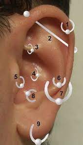 A Guide To Different Ear Piercing Types And Their Positions Different Ear Piercings Piercings Unique Piercings