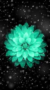 Get us on google play store. 31 Cute Wallpaper For Girls Ideas Cute Wallpapers Wallpaper Iphone Wallpaper