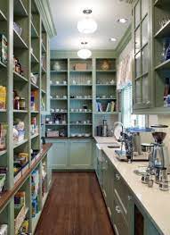 So there you have it. 10 Kitchen Pantry Design Ideas Eatwell101