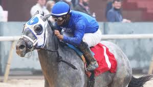 Essential quality is a gray colt, bred in kentucky by way of tapit and delightful quality. Champion Essential Quality Returns A Winner In Southwest America S Best Racing