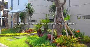 Jasa Tukang Taman Solo Jasa Pembuatan Taman Dan Penata Taman Di Solo Yang Mengutamakan Sebuah Mutu Dan Kualitas Dalam Pembuatan Ta Taman Lanskap Taman Vertikal