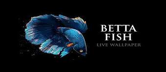 Betta Fish Live Wallpaper V1 2 Mod Apk Download For Android