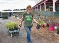 Landscaping experts with 3d imaging equipment can help you plan your planting. Hewitt S Garden Centers Three Decades One Family And A Business Still In Bloom Albany Business Review