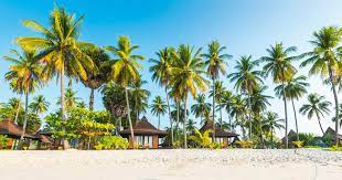 Wir zeigen dir die preise von über 1. Flug Nach Thailand Ab 271 Billigfluge Thailand Kayak