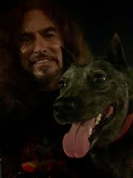 Willow Wolf (@thewillowwolf) • Facebook