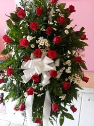 We did not find results for: Juanita S Flowers For All Occasions 800 S 16 1 2 St Mcallen Tx Florists Mapquest