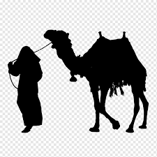 Drawing is done with zentangle outside of the camel, done in black ink. Desert Safari Png Images Pngwing