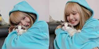 Bisa juga untuk digunakan sebagai animasi microsoft powerpoint. 5 Potret Lisa Blackpink Bareng Kucing Kesayangan Mana Lebih Lucu Dan Imut Kapanlagi Com