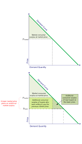 When the market is in equilibrium, there is no tendency for prices to change. Consumer Surplus