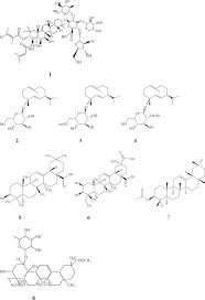 Image result for Pittosporum abyssinicum