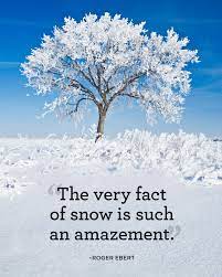 Winter Quotes To Help You See The Wonder In Every Snowfall Snow Quotes Winter Quotes Winter Scenery