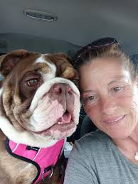 Past over to rainbow yesterday aged 12 years & 3 months. Rip Willow