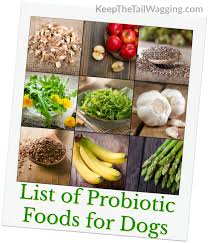 List Of Probiotic Foods For Dogs Keep The Tail Wagging