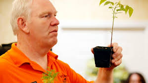 PHOTOS: Butterflies at Country Meadows of York