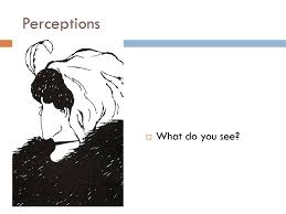 Young lady vs old lady optical illusion. Learning Styles How To Use Them Ppt Download