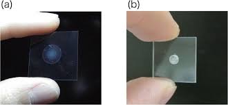 Their music has been variously described as hard rock, blues rock, and heavy metal, but the band themselves call it simply rock and roll. Ferroelectric Films After Application Of An Electric Field A A Download Scientific Diagram