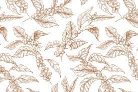 Coffee Tree Branch Set And Seamless Coffee Tree Coffee Illustration Tree Illustration