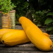 Please refer to the nutrition facts label seen to the left for a full breakdown of complete nutrition found in a 1 medium zucchini. Yellow Zucchini Calories Carbs Protein More
