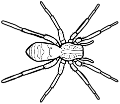Spider coloring pages getcoloringpages com. Http Www Inallyoudo Net Wp Content Uploads 2015 10 Spiders Combo Coloring Pages Final Pdf