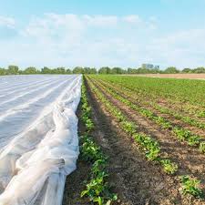 Vlies Der Perfekte Schutz Fur Ihre Jungpflanzen Im Fruhjahr Pflanzen Landwirtschaft Pflegeleichter Garten
