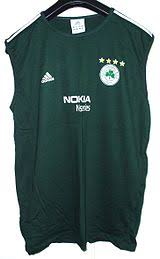 It is owned by the billionaire giannakopoulos family. Panathinaikos B C Wikipedia