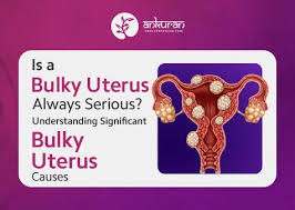 Image result for uterus