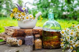 Siete plantas cuyos usos medicinales ayudan a nuestra salud
