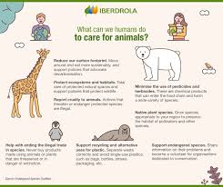 What animals will go extinct in 2020? Recently Extinct Animals And Causes Iberdrola